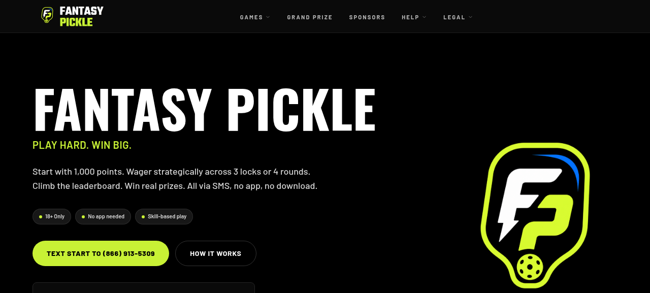 Pickleball Challenge Game screenshot